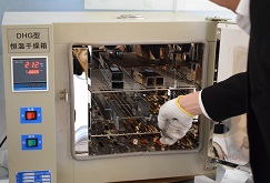 膠粘劑固化形式及影響因素詳解 膠粘劑固化形式及影響因素詳解