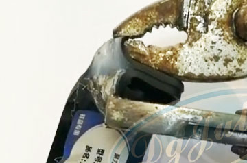 橡膠快干膠水
