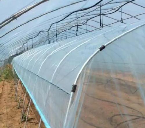 溫室大棚覆膜專用膠水 快速定位防水蔬菜大棚膜補(bǔ)漏粘接膠水--聚力膠粘 溫室大棚覆膜專用膠水 快速定位防水蔬菜大棚膜補(bǔ)漏粘接膠水--聚力膠粘