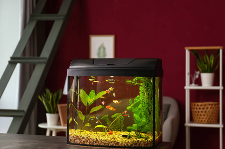 水族箱供氧設備耐高溫膠水,聚力24年廠家研發